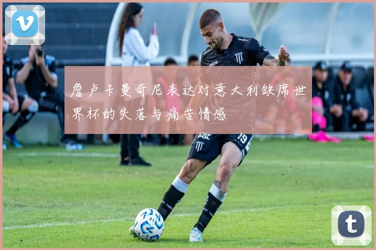 詹卢卡曼奇尼表达对意大利缺席世界杯的失落与痛苦情感